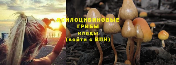 кристаллы Алексеевка
