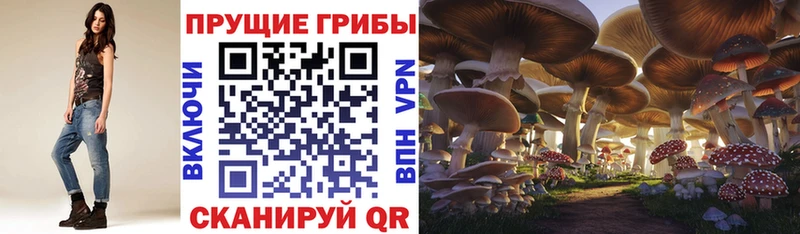 Псилоцибиновые грибы Magic Shrooms  закладки  Сельцо 